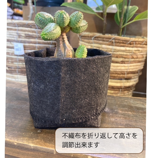 root pouch (ルーツポーチ)【OREGON, USA】 育苗用ポットBlack 1L | 鉢,エアロポット（布製鉢） | Tree  people